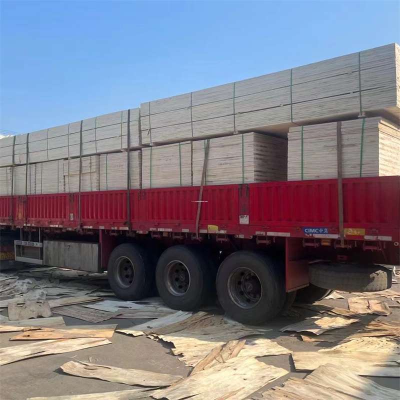 辽宁抚顺望花至和田货运专线一站式物流服务，助力商业发展